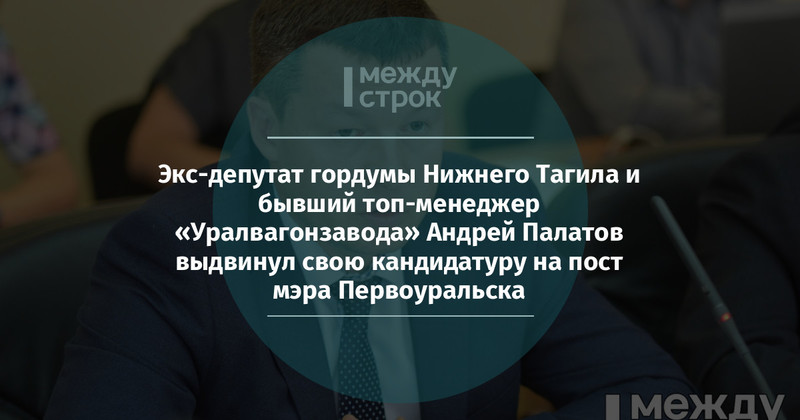Андрей Палатов на заседании
